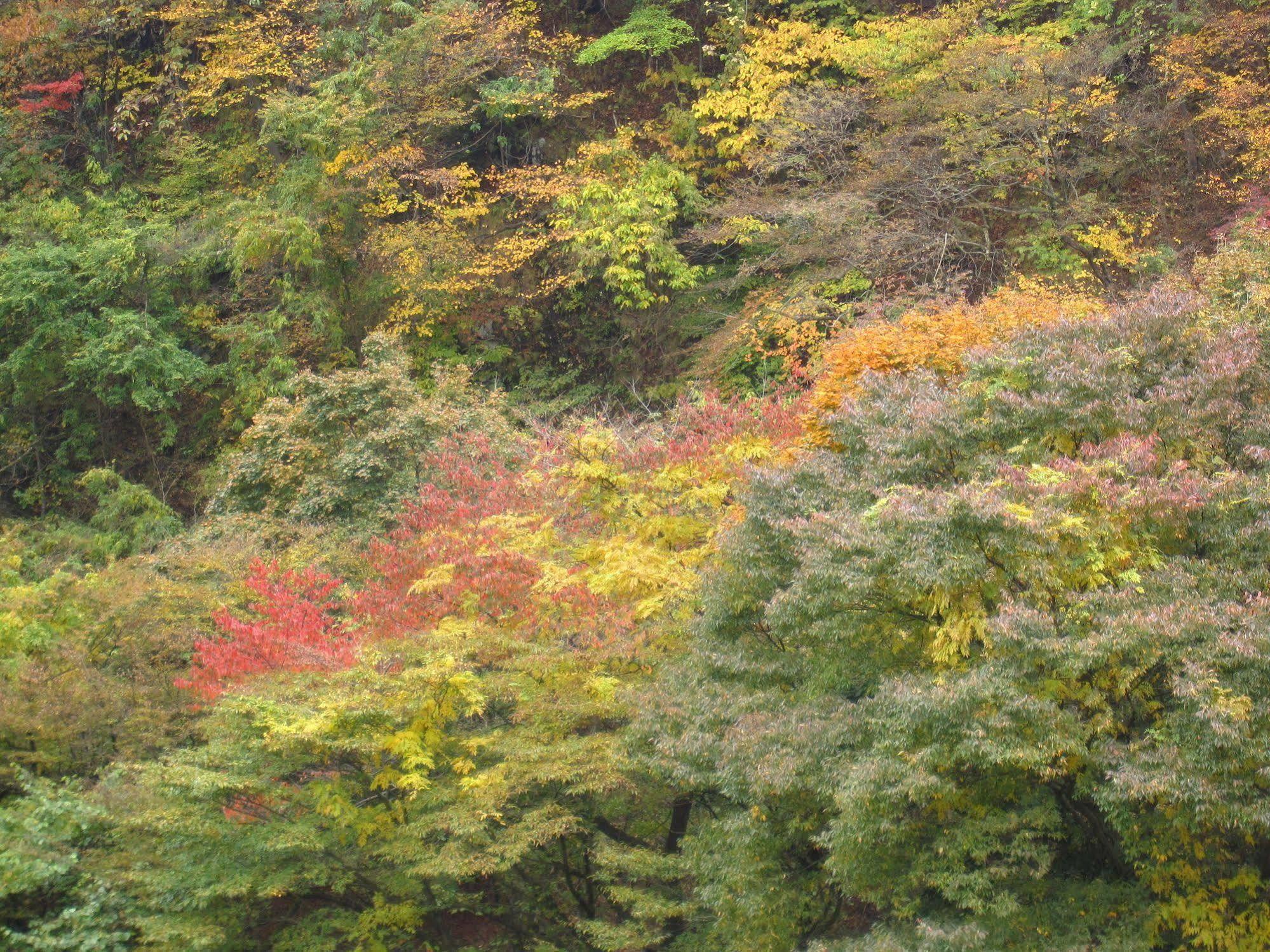 Koduchi No Yado Tsurukamedaikichi Hotel Nikko Eksteriør billede