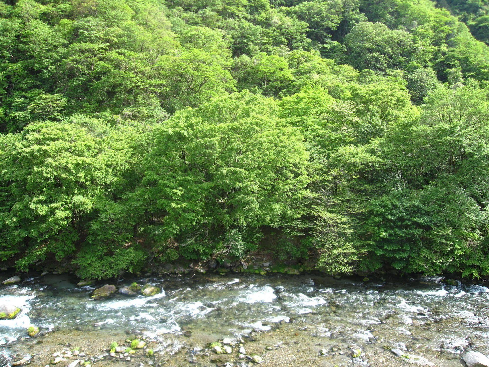 Koduchi No Yado Tsurukamedaikichi Hotel Nikko Eksteriør billede